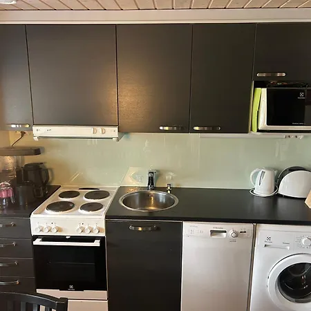Charming In Center Of Levi Apartment *